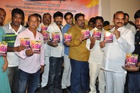 Kakateeyudu Audio Launch